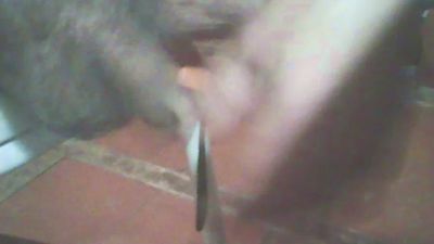 jlcanu1 live cam on Cam4