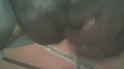jlcanu1 live cam on Cam4