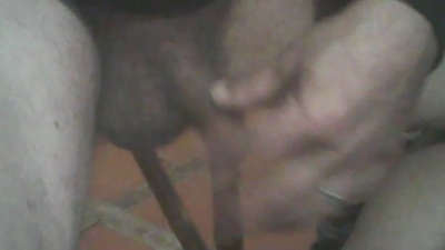 jlcanu1 live cam on Cam4