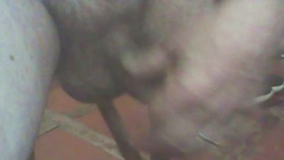 jlcanu1 live cam on Cam4