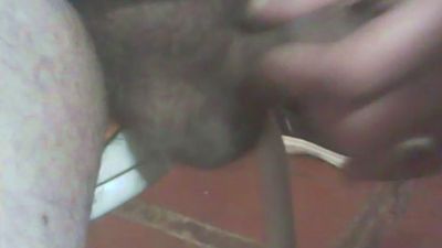 jlcanu1 live cam on Cam4