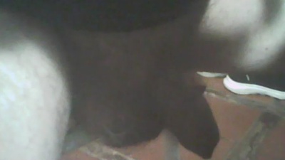 jlcanu1 live cam on Cam4