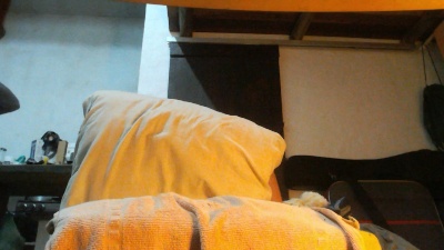 joao_jeba live cam on Cam4