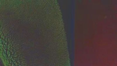 johan70sexy live cam on Cam4