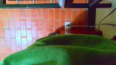 johan70sexy live cam on Cam4