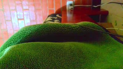 johan70sexy live cam on Cam4