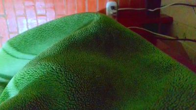 johan70sexy live cam on Cam4