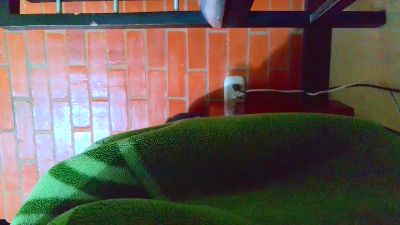 johan70sexy live cam on Cam4
