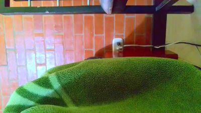 johan70sexy live cam on Cam4