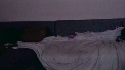 jolaa live cam on Cam4
