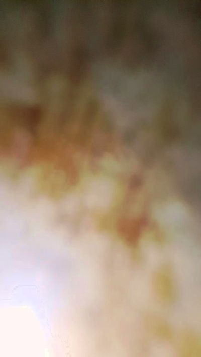 jose_hot live cam on Cam4