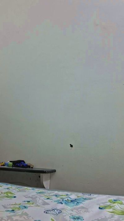 josue2419 live cam on Cam4