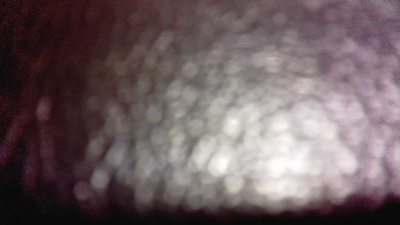 joueur971 live cam on Cam4