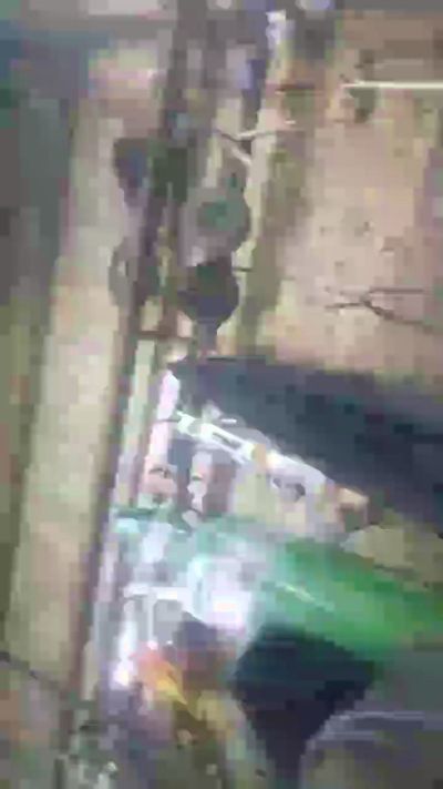 jovendotado420 live cam on Cam4