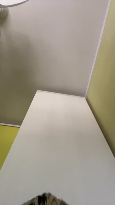 videochat Jovenpeludo06