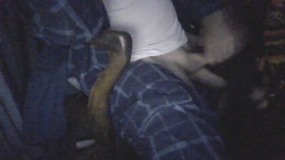 jp8incok live cam on Cam4