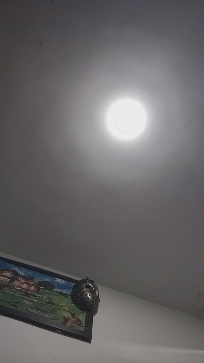 jsexx1 live cam on Cam4
