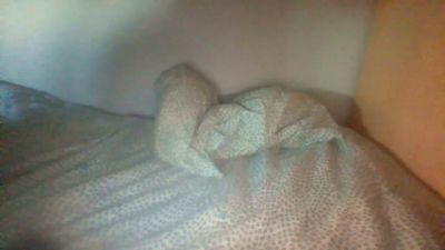 jugueton99 live cam on Cam4