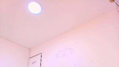 justin_kim live cam on Cam4