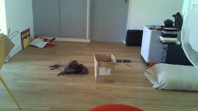 kad221 live cam on Cam4