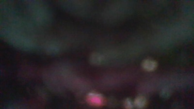 kelly114 live cam on Cam4