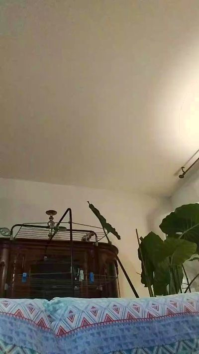 keurty1 live cam on Cam4