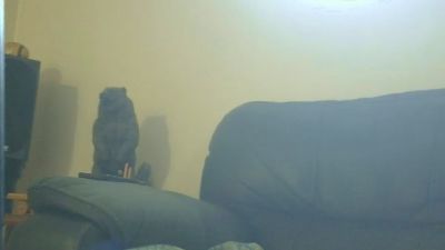 kgar1515 live cam on Cam4