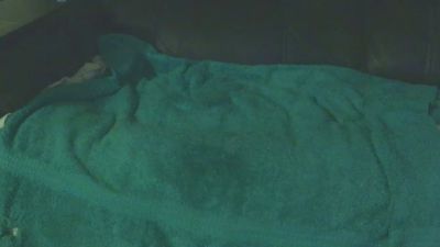 kgar1515 live cam on Cam4