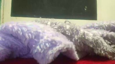 kiki2729_xxx4 live cam on Cam4
