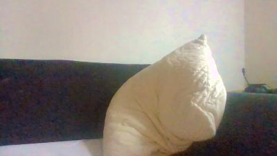 kingest76 live cam on Cam4