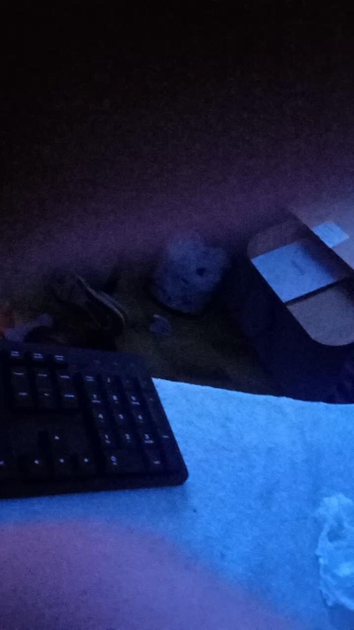 Preview of kkandresa