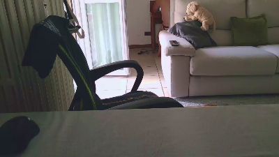 klausdog live cam on Cam4