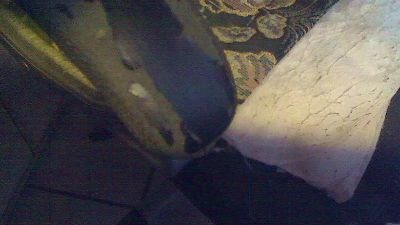 kleiner50 live cam on Cam4