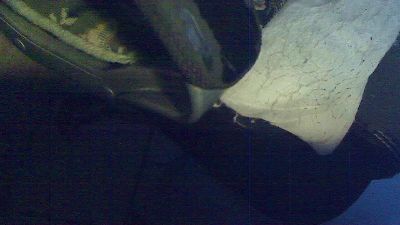 kleiner50 live cam on Cam4