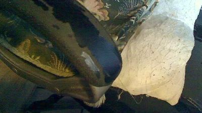kleiner50 live cam on Cam4
