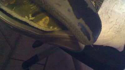 kleiner50 live cam on Cam4