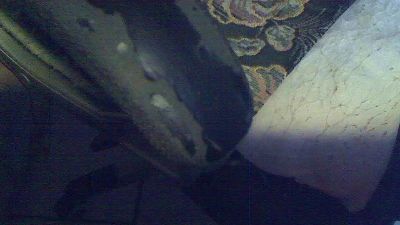kleiner50 live cam on Cam4