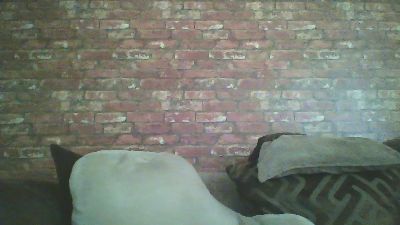 kona_blast live cam on Cam4