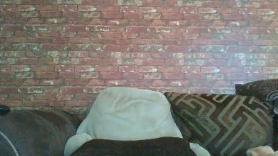 kona_blast live cam on Cam4