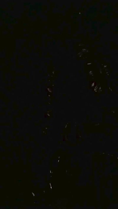 kuhhirte live mężczyzna webcam from Germany