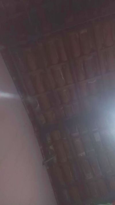 kyokogatinha666 live cam on Cam4