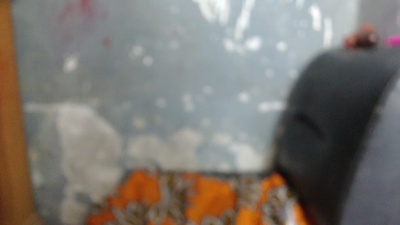 lachaude live cam on Cam4