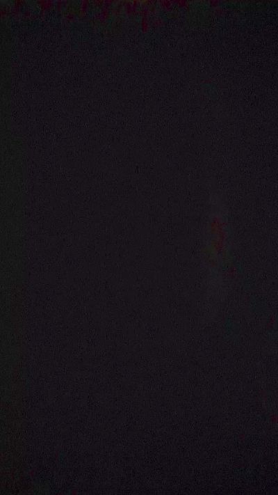lalo3xxx3 live cam on Cam4