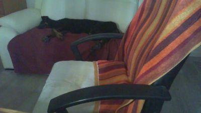 laparki live cam on Cam4