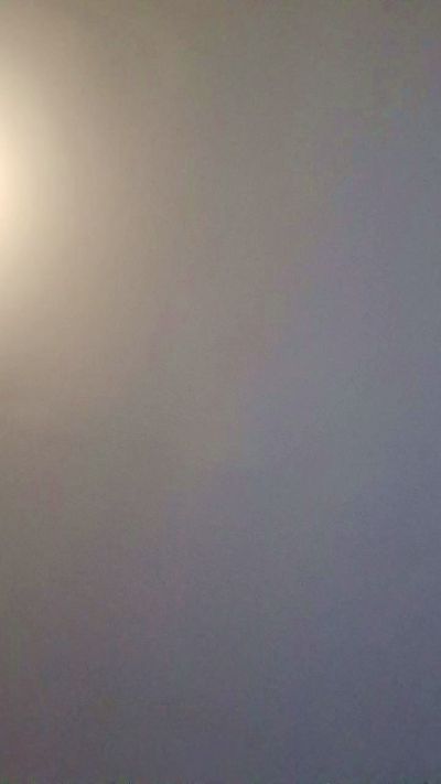 latine59 live cam preview