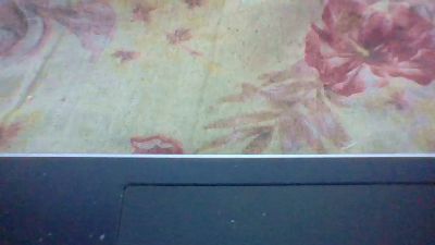 layah6 live cam on Cam4