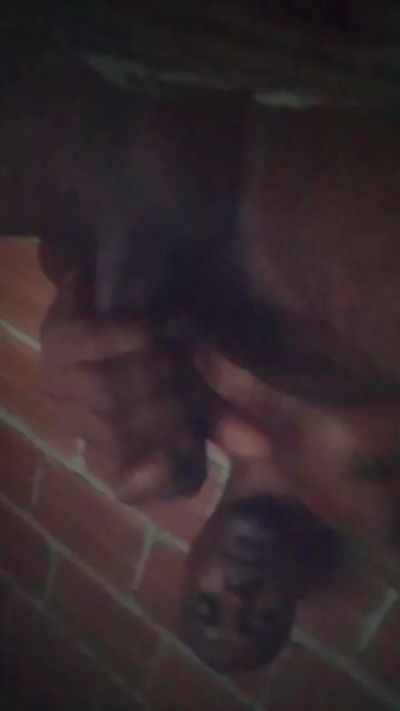 lcmalvado3 live cam on Cam4