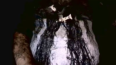 lebensraum live cam on Cam4