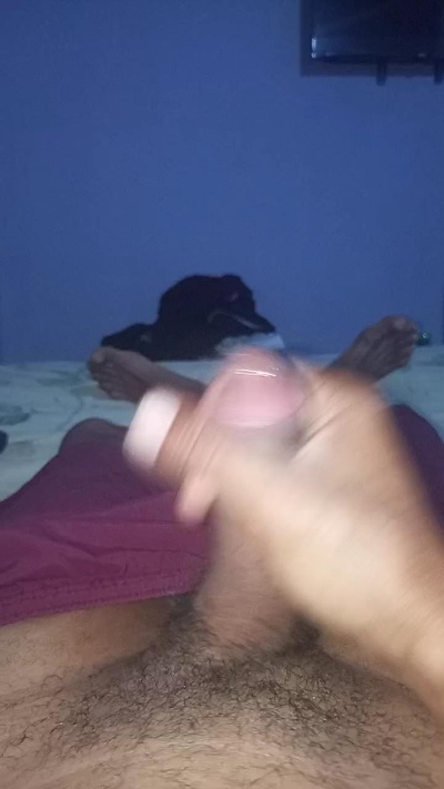 leefalcon981 live cam on Cam4