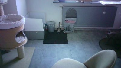 lefty99 live cam on Cam4